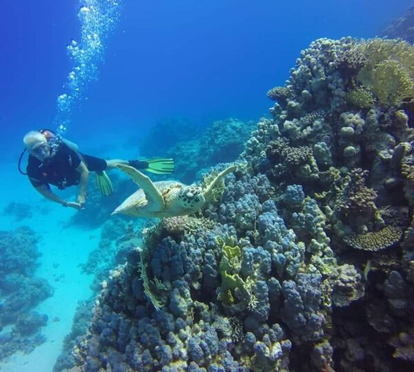 Diving & Snorkeling Boat Tour in Hurghada