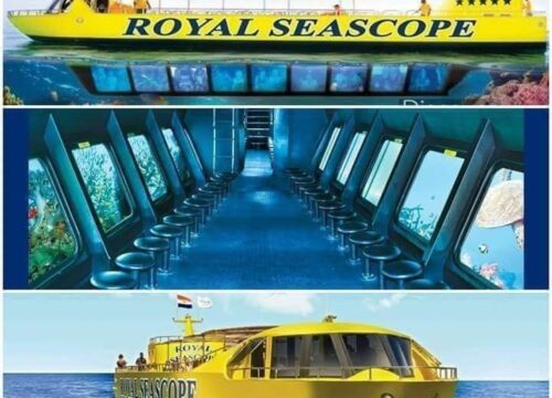 Seascope Submarine Trip with Snorkel