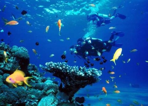 Scuba diving and Snorkeling Boat Tour