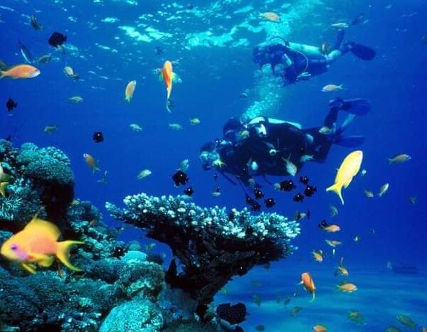 Scuba diving and Snorkeling Boat Tour