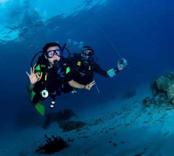 Scuba diving in Marsa Alam