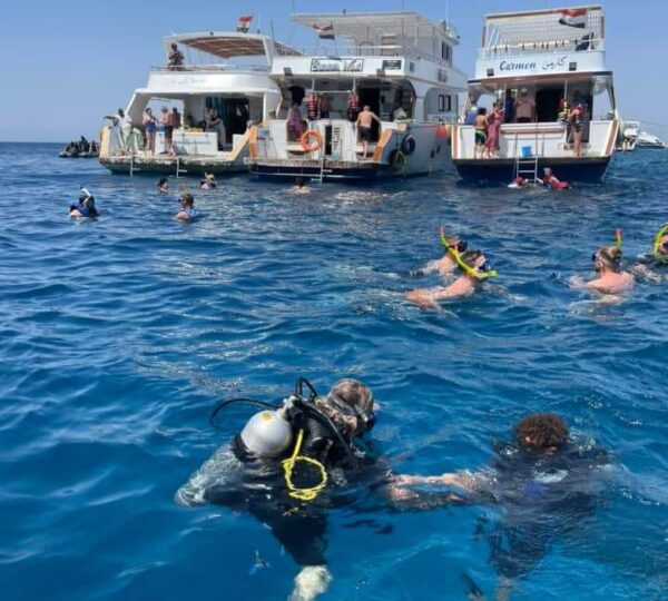 Snorkeling trip to Marsa Mubarak